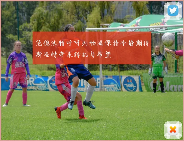 范德法特呼吁利物浦保持冷静期待斯洛特带来转机与希望